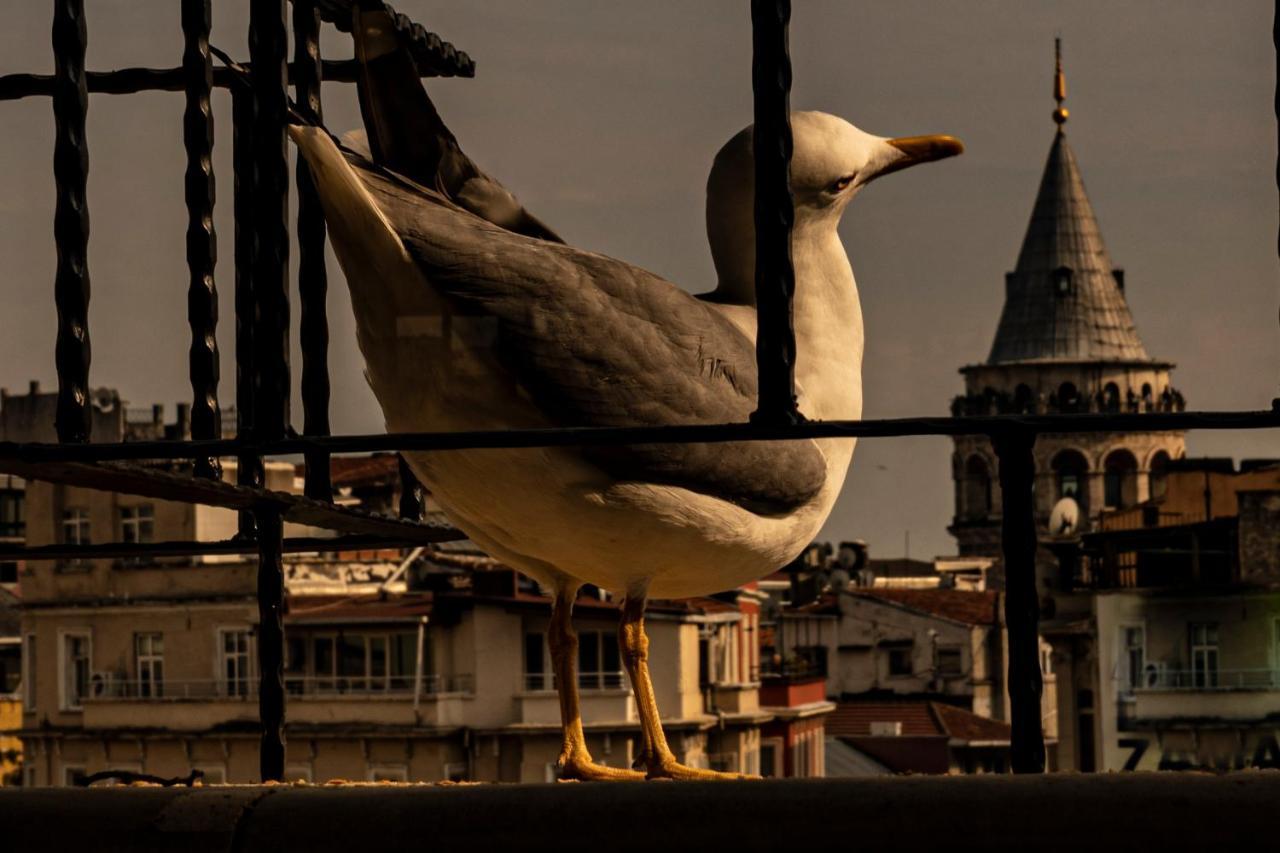 Galata M84 Aparthotel อิสตันบูล ภายนอก รูปภาพ